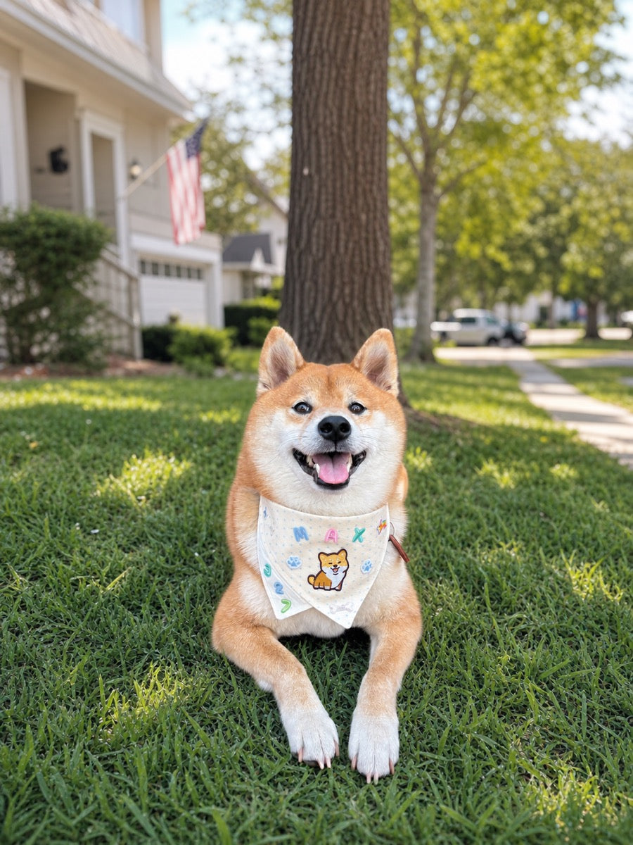 Happy Shiba Inu wearing a custom bandana in an American neighborhood